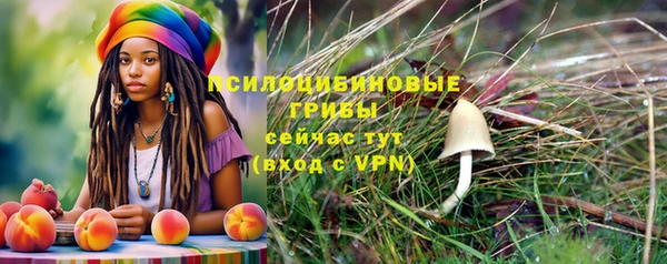 крисы Сосновоборск