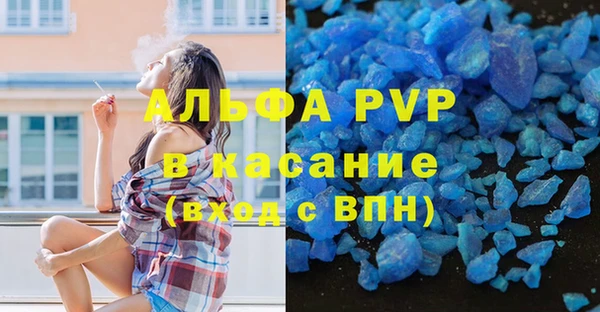 ПСИЛОЦИБИНОВЫЕ ГРИБЫ Верхний Тагил